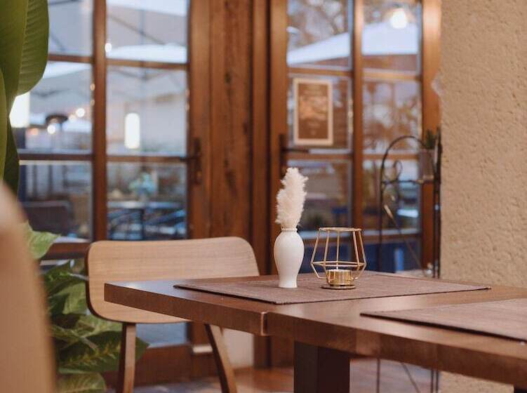 فندق Zenit El Coloquio