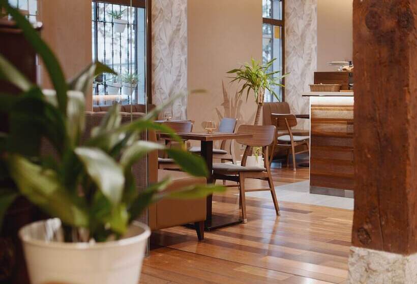 فندق Zenit El Coloquio