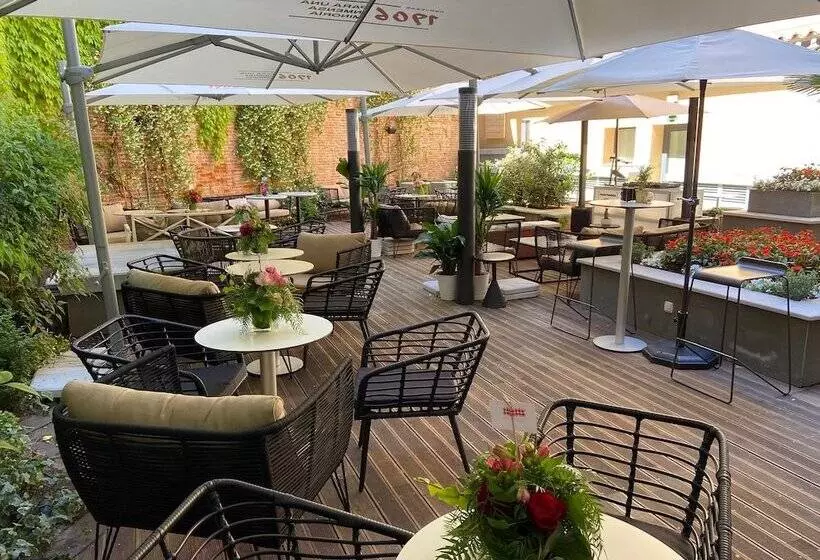 فندق Zenit El Coloquio