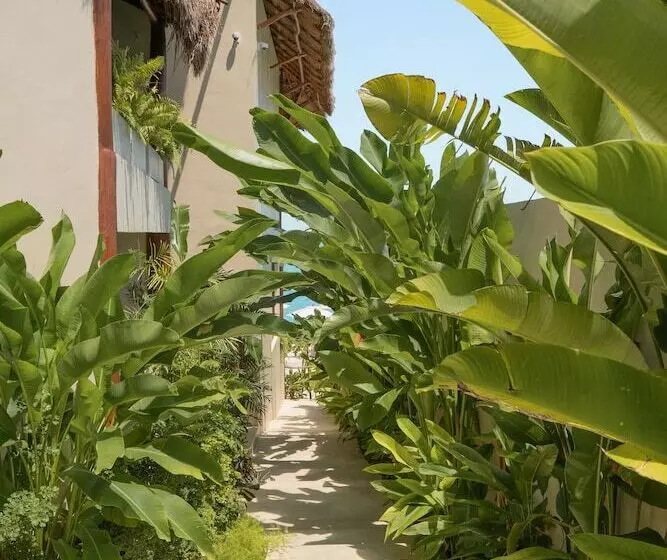 Puerta Del Cielo Hotel Origen