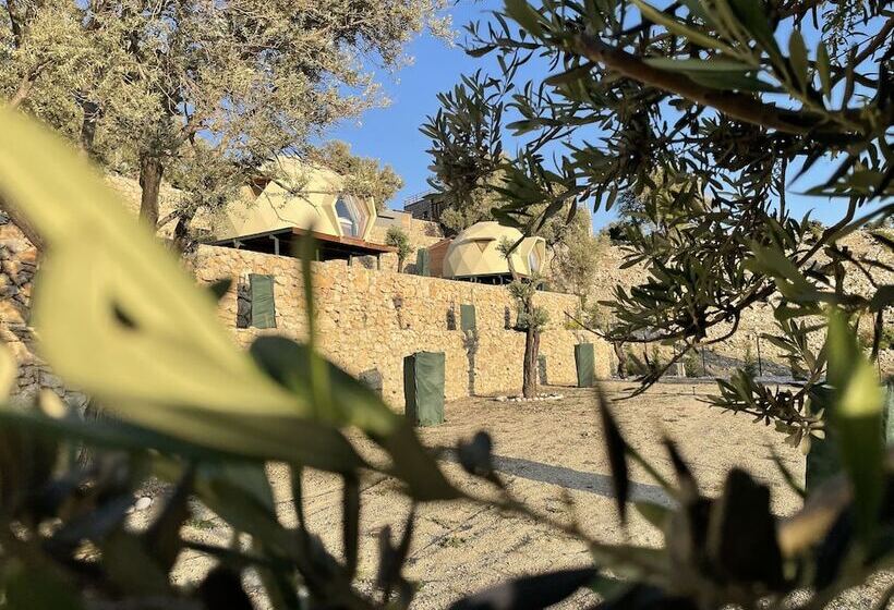 Отель Keşif Zone Eco Resort Retreats