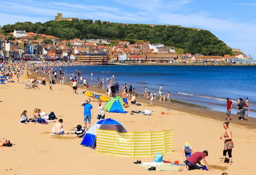 צימר North Bay Guest House