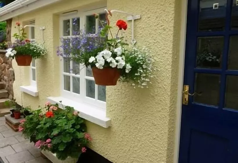 Bed and Breakfast Taw Vale