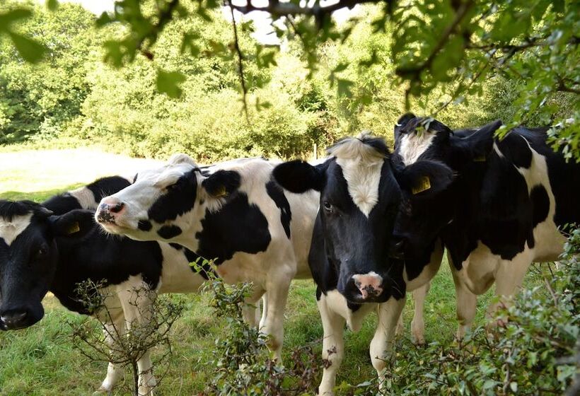 Hillcroft Self Catering