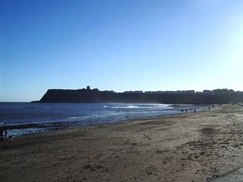 בית מלון כפרי The Albert