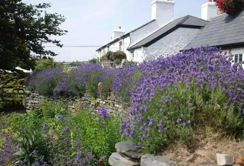 Hotelli The Elephants Nest Inn