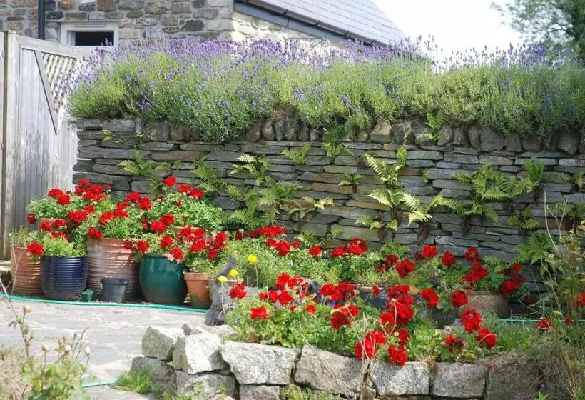 Hotelli The Elephants Nest Inn