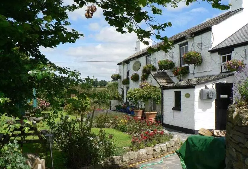 Hotelli The Elephants Nest Inn