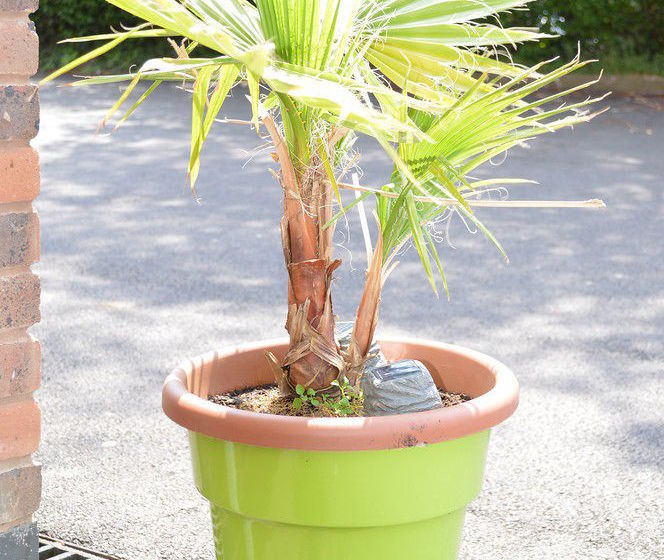 فندق The Orchard