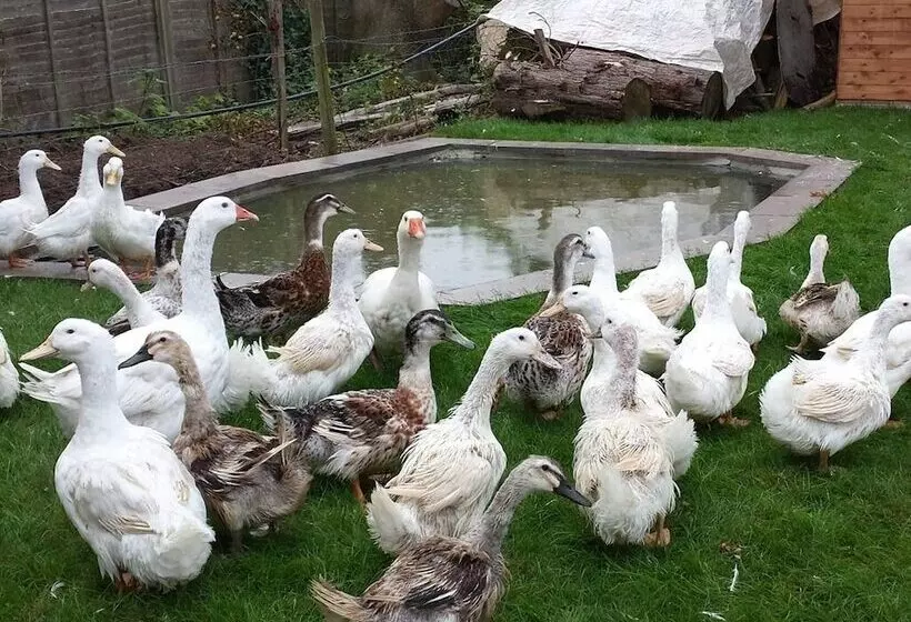 New Barn Cottage B&b