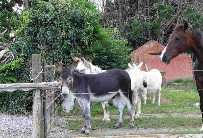 New Barn Cottage B&b