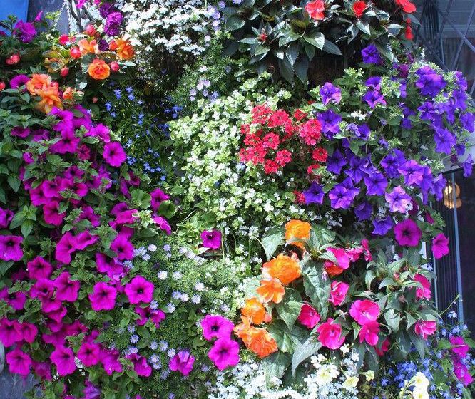 Pensão Devon View Guesthouse Swansea