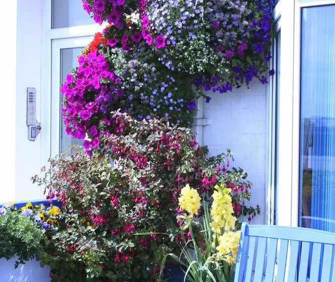 پانسیون Devon View Guesthouse Swansea