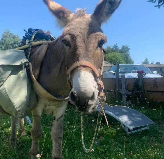 Hotelli Montlo Relais Des Cerfs