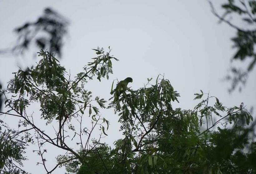 بنسيون Casita Olivia