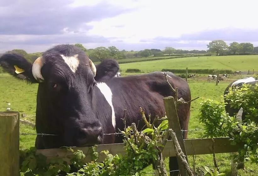 مبيت وإفطار Beoley Lodge