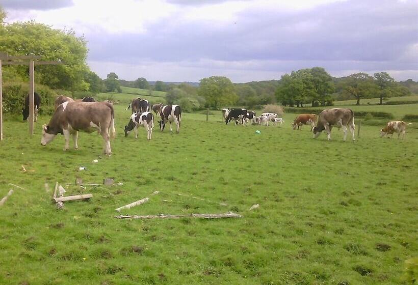 مبيت وإفطار Beoley Lodge