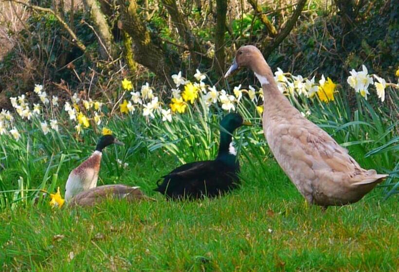 צימר Burton Farmhouse