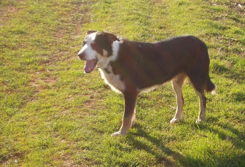 צימר Burton Farmhouse