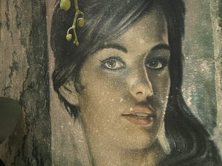 ベッドアンドブレックファースト Maison Claire