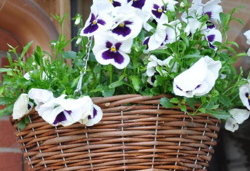 مبيت وإفطار The Hayloft B And B