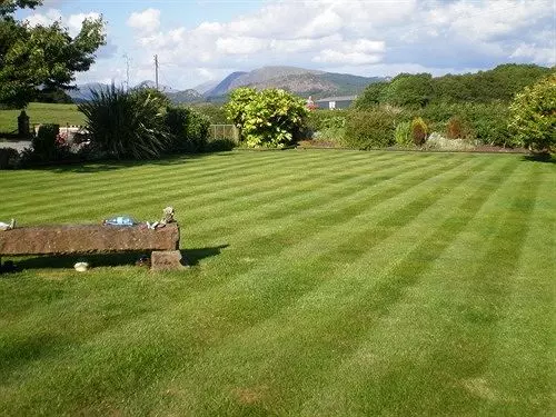 مبيت وإفطار The Old School