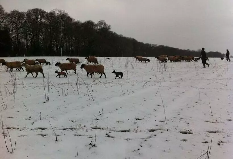 호텔 Grove Farm Direct