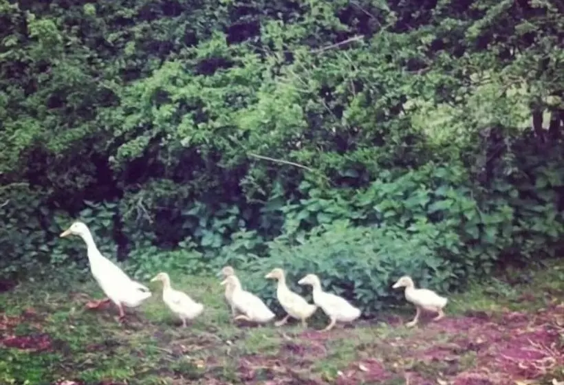 호텔 Grove Farm Direct