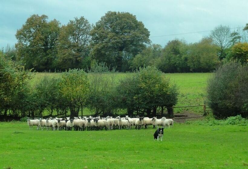 酒店 Grove Farm Direct