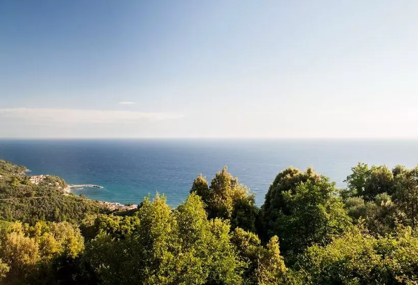 Отель Lions Nine