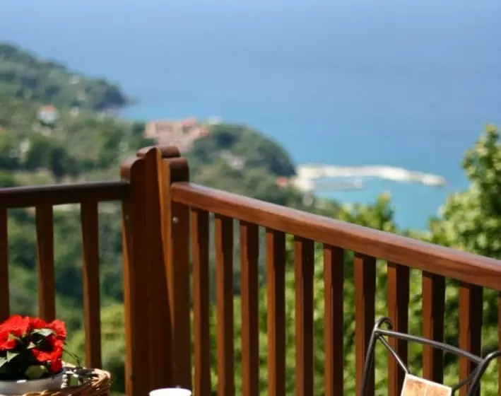 Отель Lions Nine