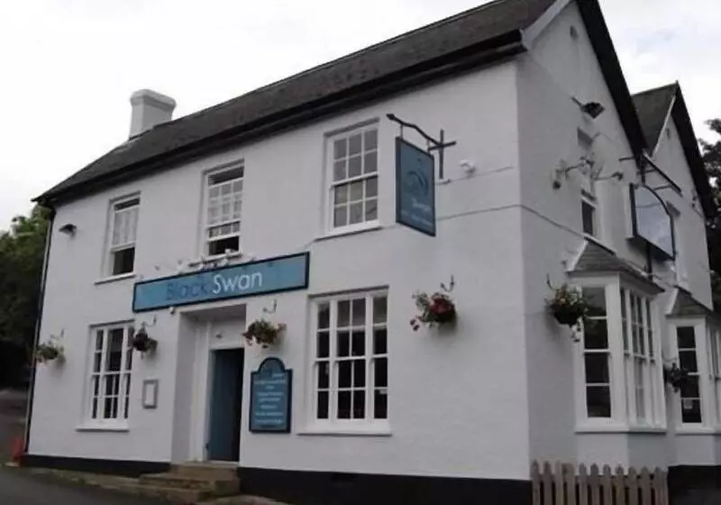 Hotel The Black Swan