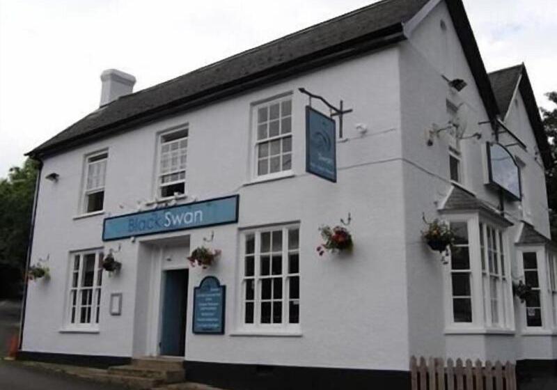 호텔 The Black Swan