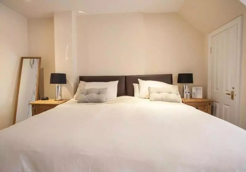 酒店 The White Swan Inn