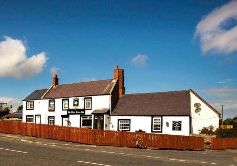 酒店 The White Swan Inn