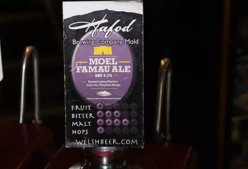 בית מלון כפרי We Three Loggerheads