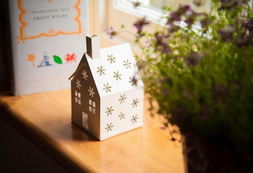 Plas Gwyn B&b And Holiday Cottage