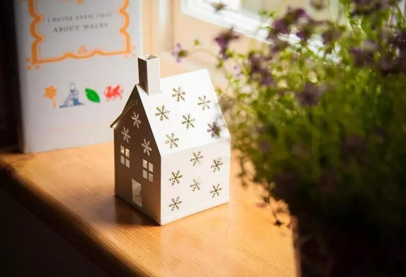 Plas Gwyn B&b And Holiday Cottage