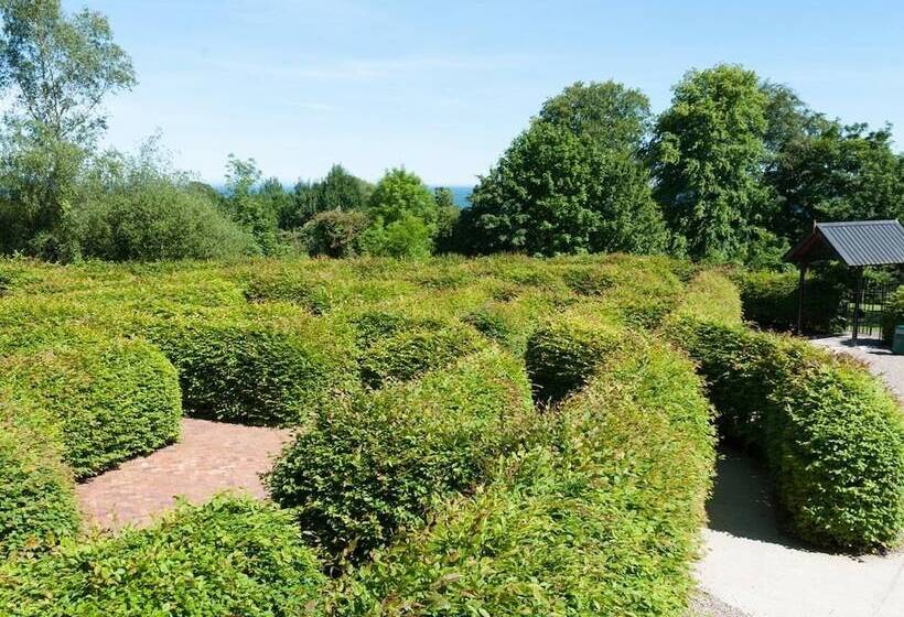 Seaview House Bed And Breakfast