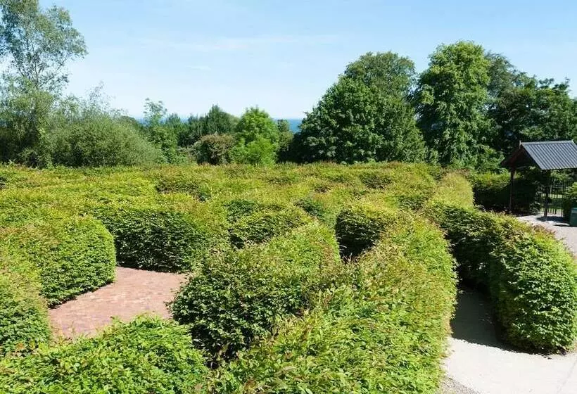 Seaview House Bed And Breakfast