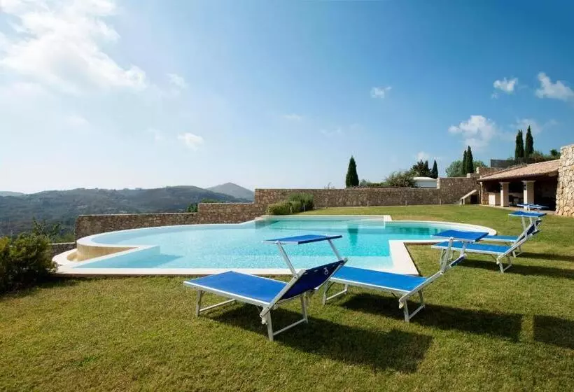 Collina Degli Ulivi B&b