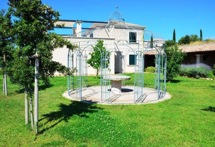 Collina Degli Ulivi B&b