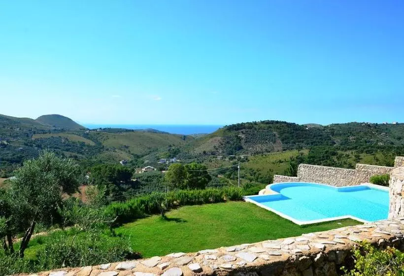 Collina Degli Ulivi B&b