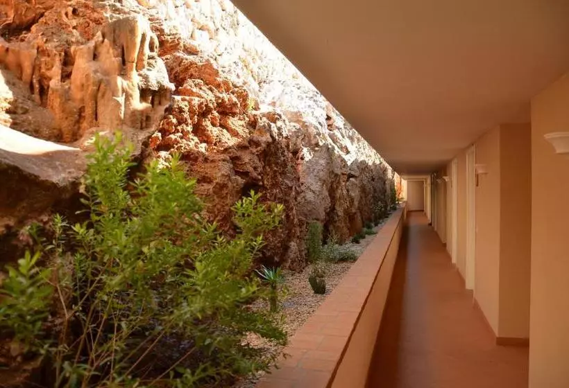 Collina Degli Ulivi B&b