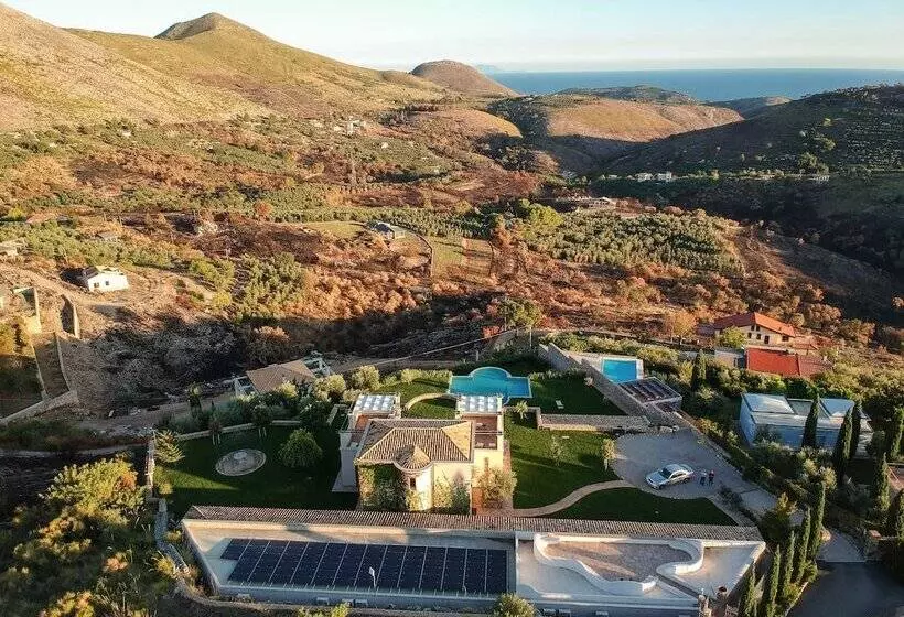 Collina Degli Ulivi B&b