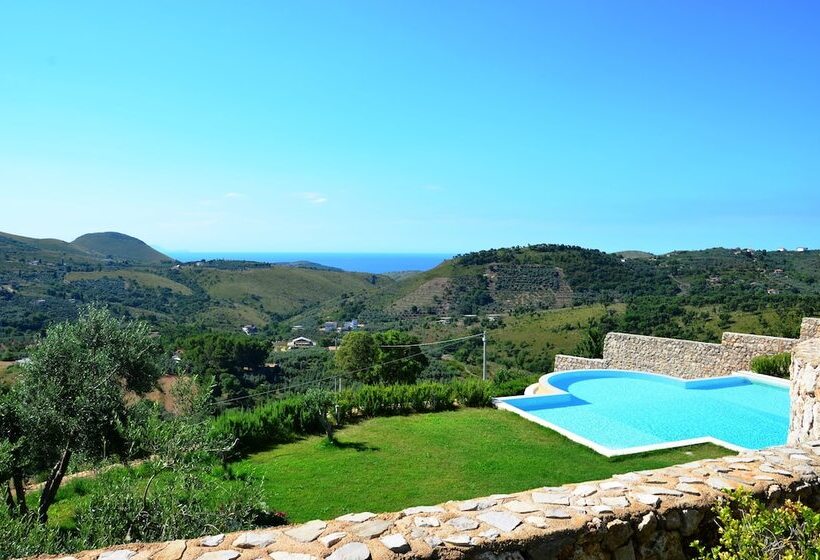 Collina Degli Ulivi B&b