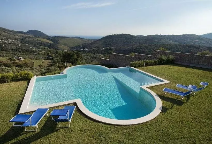 Collina Degli Ulivi B&b