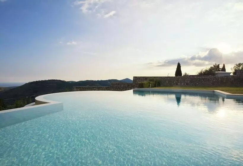 Collina Degli Ulivi B&b