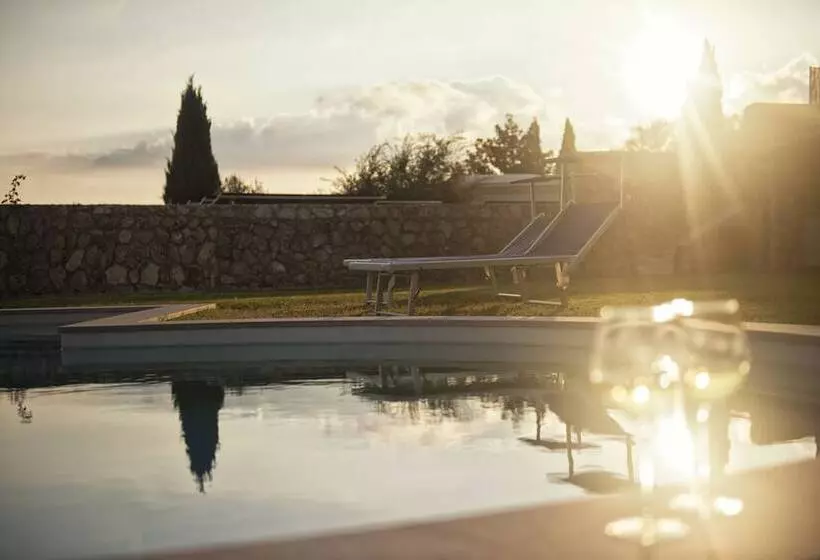 Collina Degli Ulivi B&b