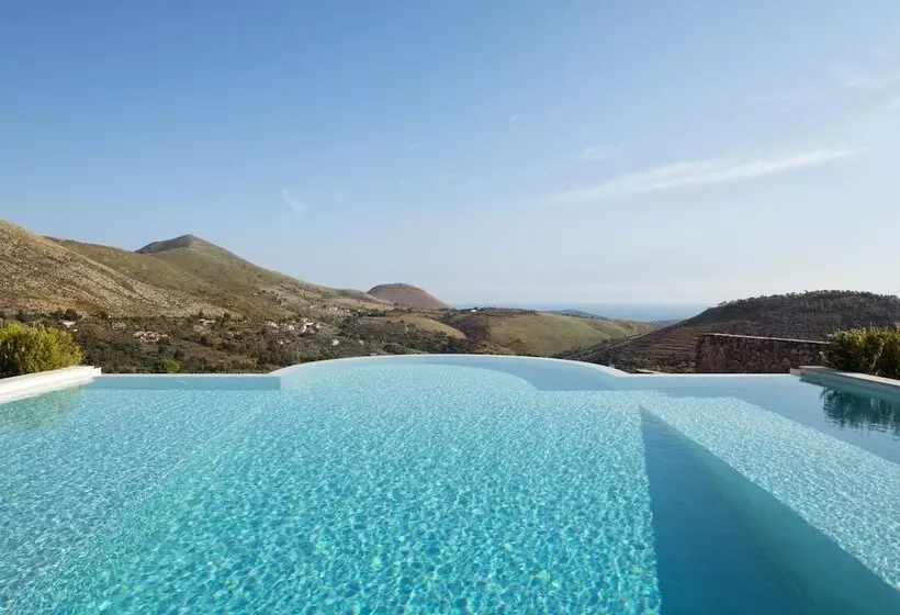 Collina Degli Ulivi B&b